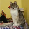 Отзыв от Лия Федорова